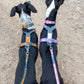 Line Harness 5.0 (Standart + Rachel Pohl) - Nonstop Dogwear