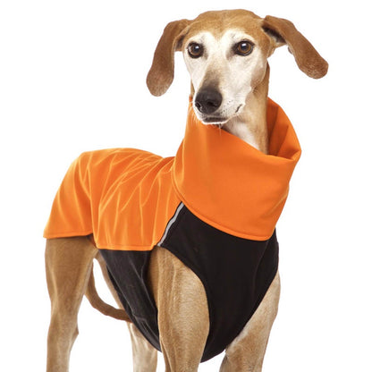 Hachico 02 (chemise softshell) - Sofadogwear