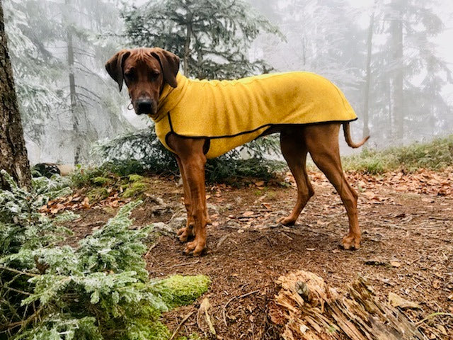 Ridgeback im Kevin Jumper L2