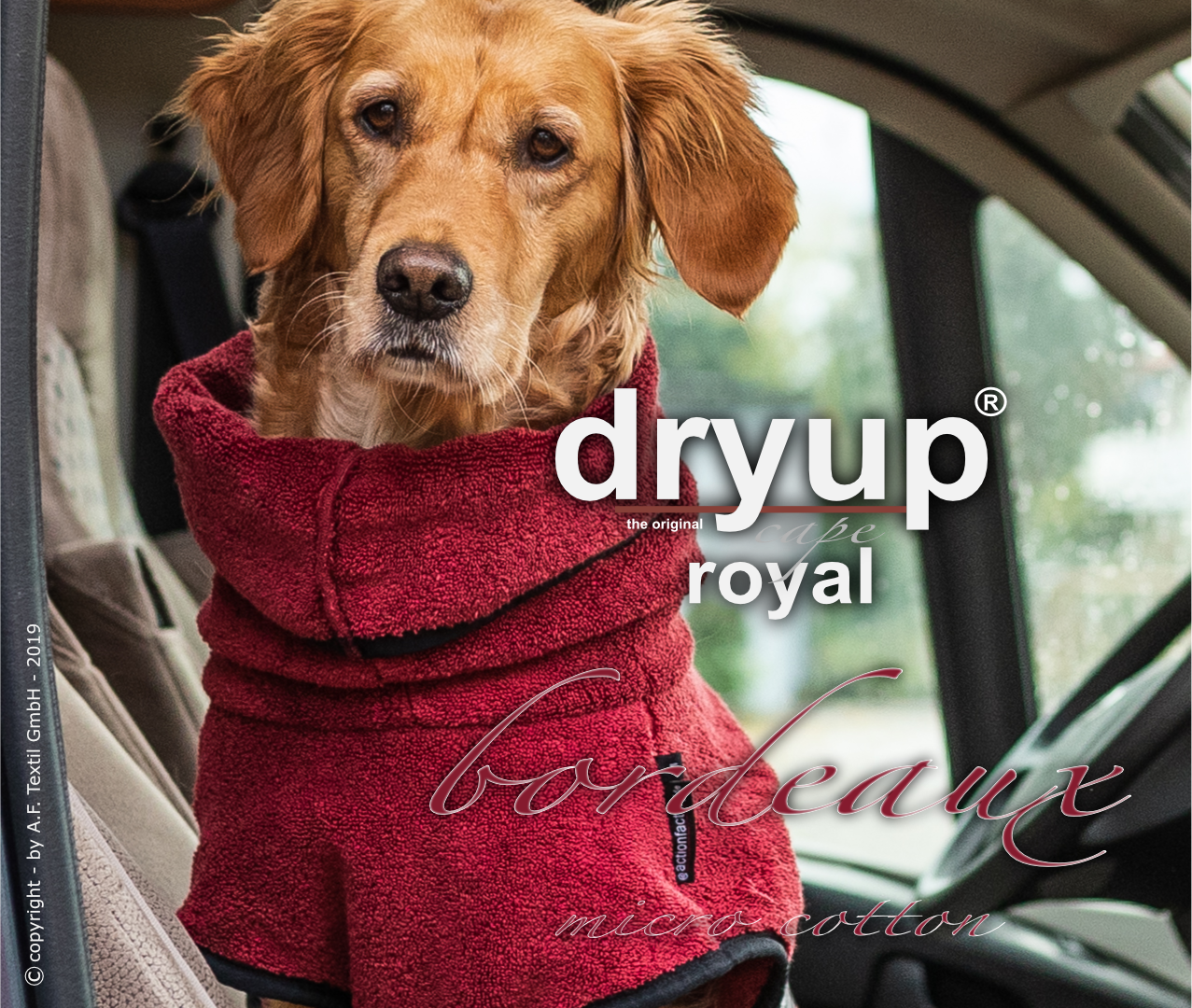 Dryup Cape Royal (dog bathrobe premium line) - Action factory