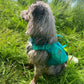 Gilet de sauvetage NOUVEAU "Protector Life Jacket" - Nonstop Dogwear