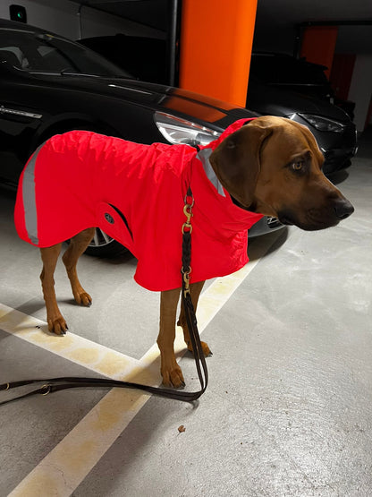 Bishaarah winter coat with membrane - Sofadogwear