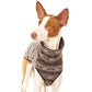 Pull Hachico (Designs d'hiver) - Sofadogwear