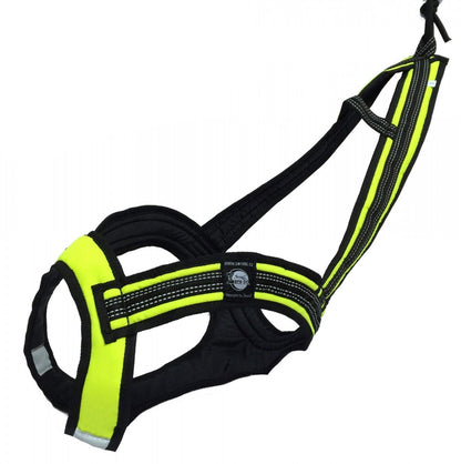 Faster Pull Harness - Zero DC | Mini II