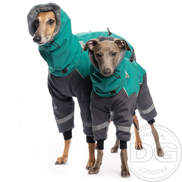 Dg doggear best sale