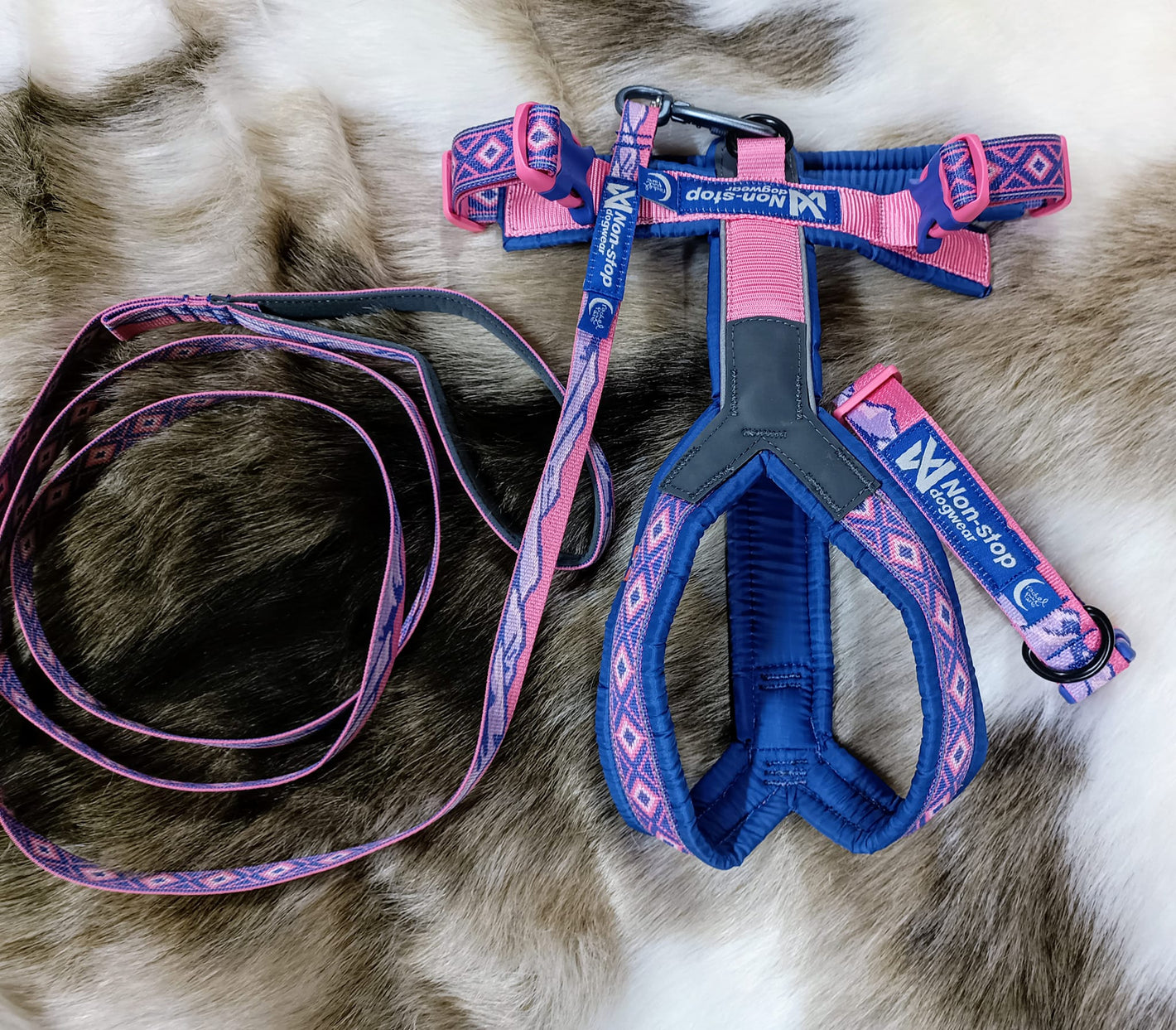 Rachel Pohl Edition Set Offers - Nonstop Dogwear