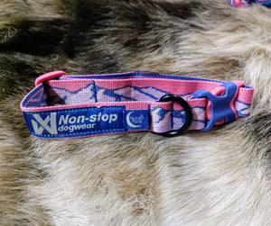 Trail Quest Collar Klick-Halsband (Standart + Rachel Pohl) - Nonstop Dogwear