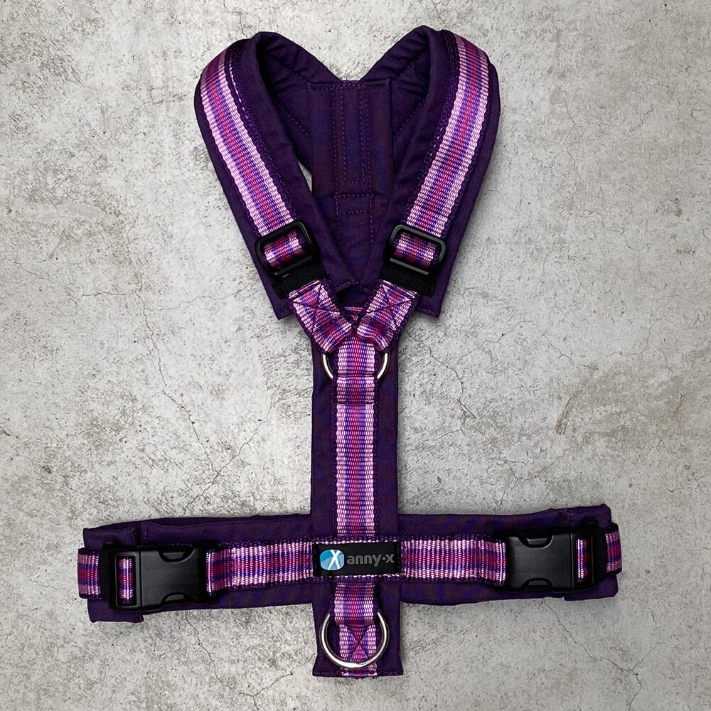 Chest harness Fun (standard and special colors) - Annyx