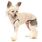 Hachico Micro-C-Jumper - Sofadogwear