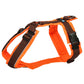 Chest harness Protect with reflector (standard and special colors) - Annyx