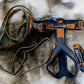 Line Harness 5.0 (Standard + Rachel Pohl) - Nonstop Dogwear