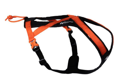 Rush Harness - Nonstop Dogwear