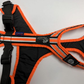 Trail harness / safety leading and pulling harness - Uwe Radant