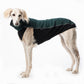 Softshell Top Jumper - DG Doggear