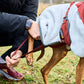 Trekking Fleece Dog Jacket - Nonstop Dogwear