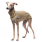 Urban Jumper (Tecnostretch) - DG Doggear