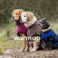 warmup cape pro 2
