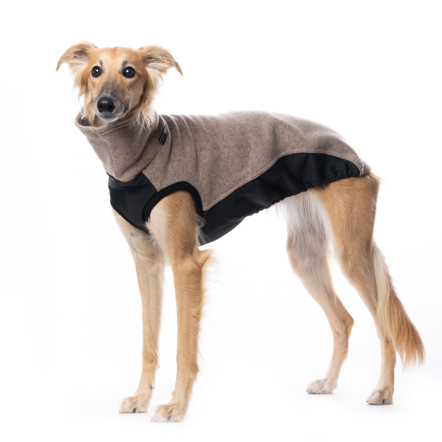 Outdoor Jumper (Tecnostretch + Tecnowool) - DG Doggear